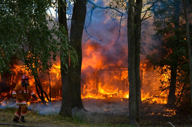Prevenção de Incêndios Florestais | 50 Horas