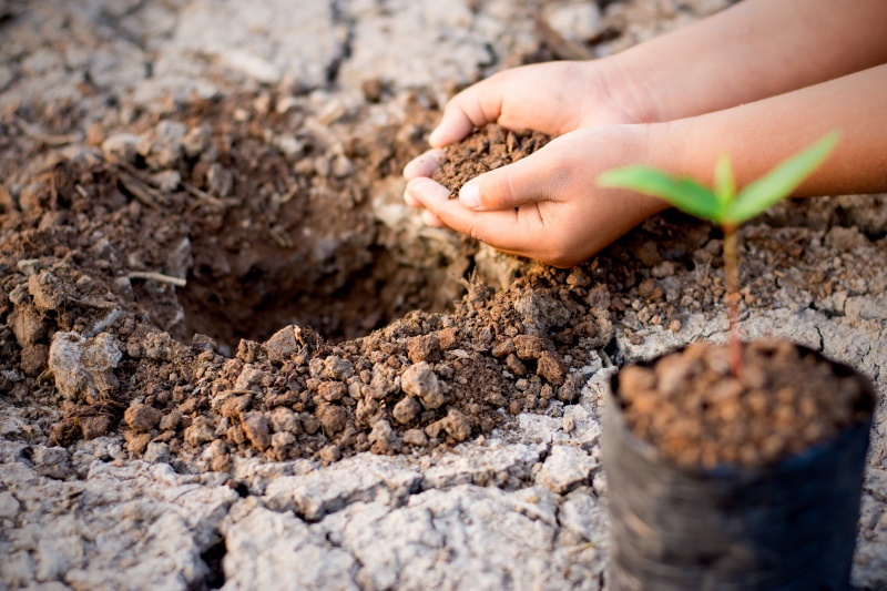 Critérios ESG - Conservação do Solo