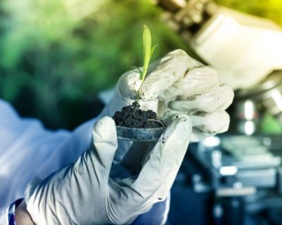 Formação Especializada