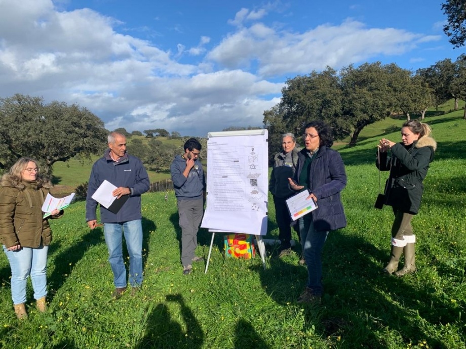 Investigação e Desenvolvimento