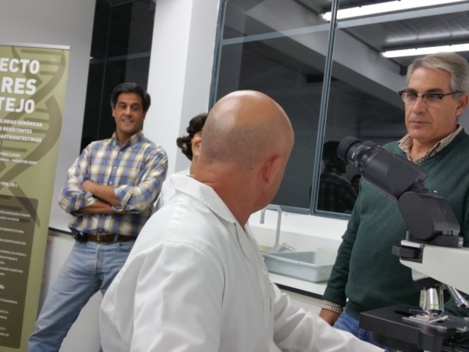 Investigação e Desenvolvimento