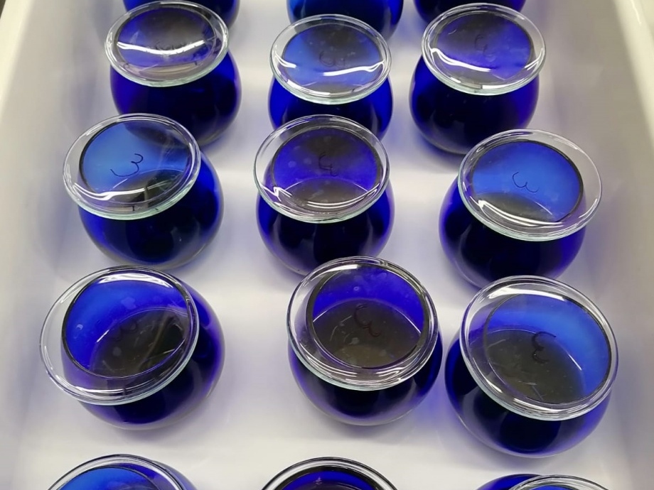 Investigação e Desenvolvimento