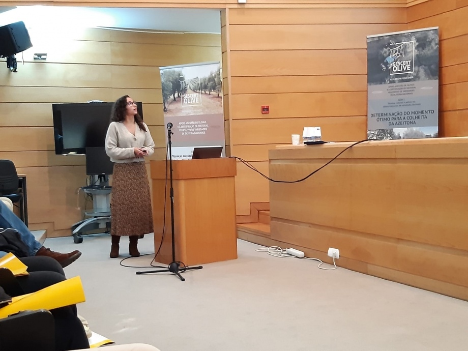 Investigação e Desenvolvimento