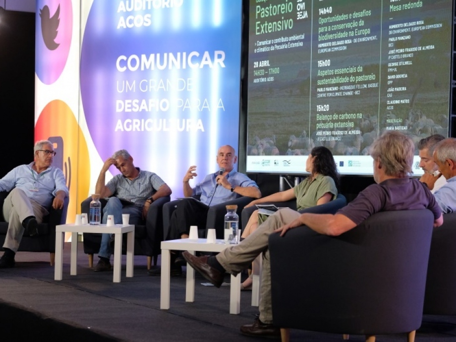 Investigação e Desenvolvimento