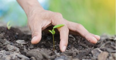 Agricultura Sustentável - Formação Base Jovem Agricultor | E-learning | 50 Horas